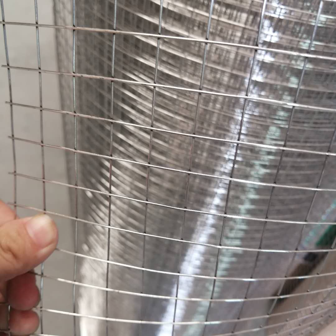 Galvanized Wire Mesh