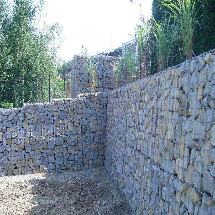 Mesh Application