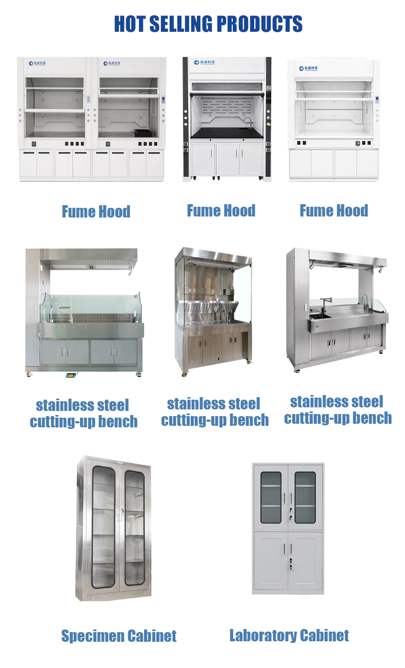 Custom Laboratory Furniture Layout