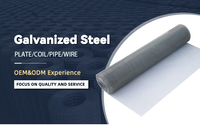 Welded Wire Mesh
